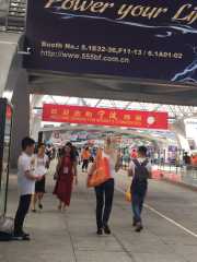 Stake(�й���)�ٷ���վ