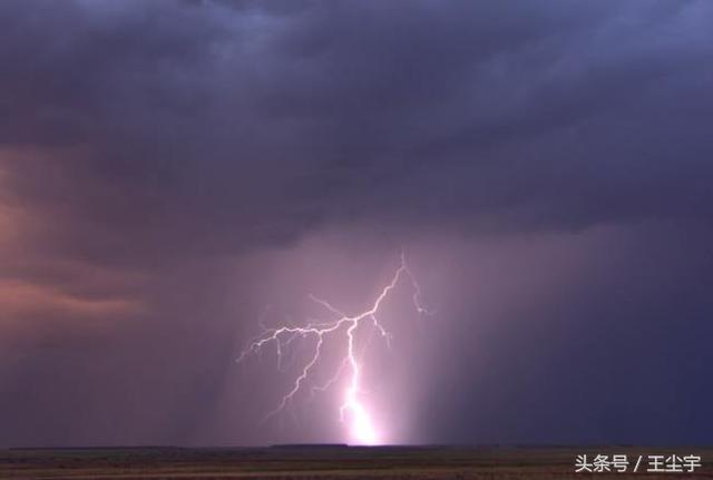 Stake(�й���)�ٷ���վ