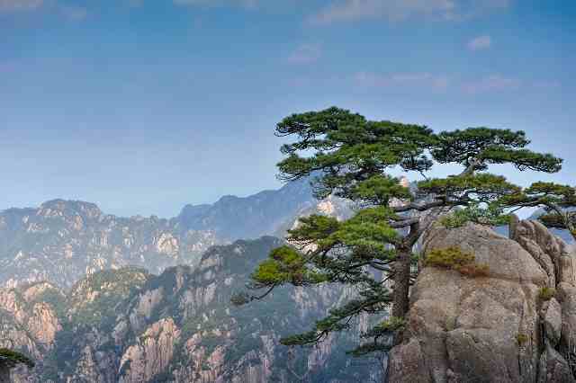 Stake(ÖйúÇø)¹Ù·½ÍøÕ¾