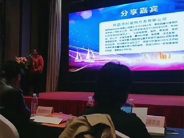 Stake(�й���)�ٷ���վ