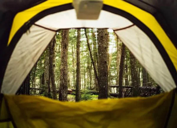 Stake(�й���)�ٷ���վ