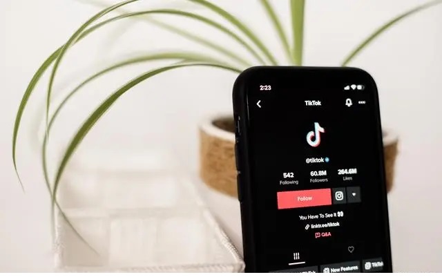 Stake(�й���)�ٷ���վ