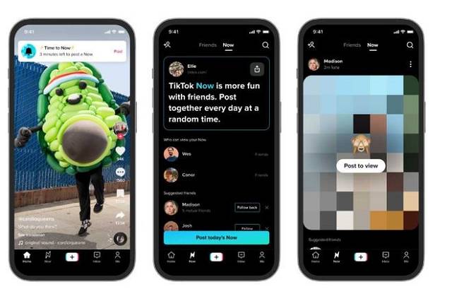 Stake(�й���)�ٷ���վ