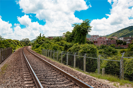 中越班列双向奔赴驶上国际商业“快车道”