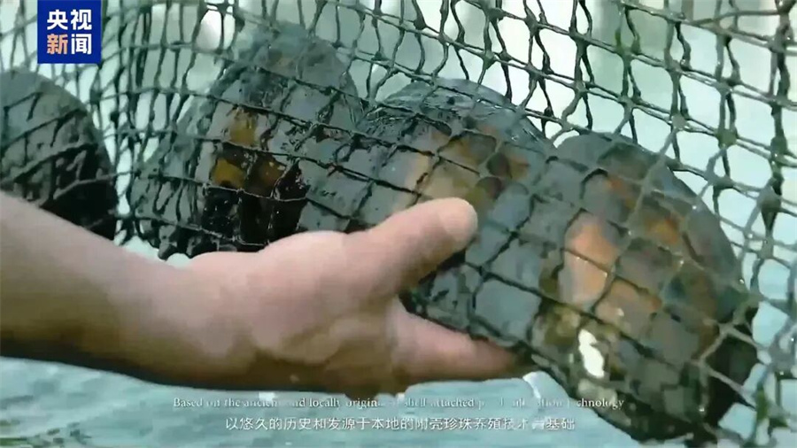 Stake(中国区)官方网站