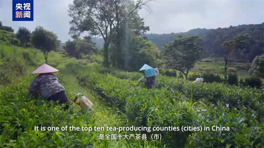 Stake(中国区)官方网站