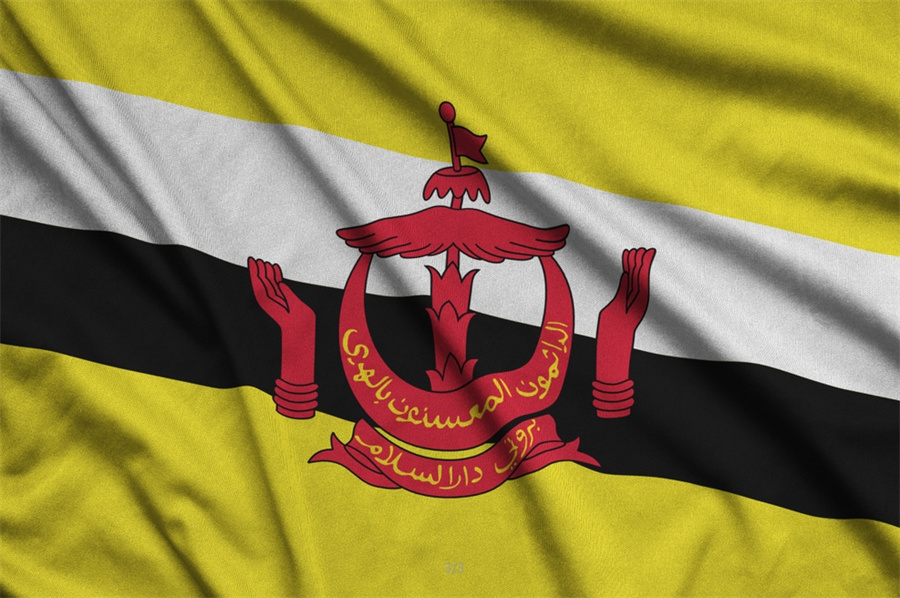 Stake(ÖйúÇø)¹Ù·½ÍøÕ¾